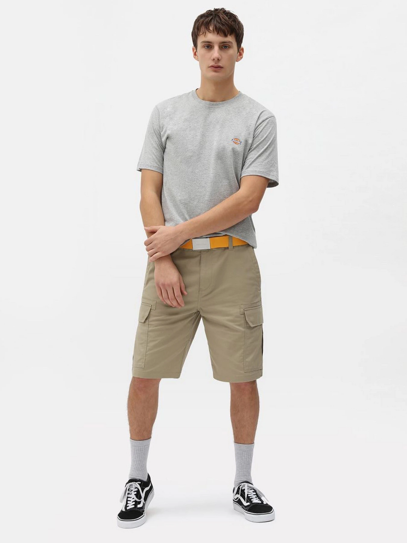 Футболки і поло Dickies SS Mapleton модель DK0A4XDBGYM1 Футболки і поло Dickies SS Mapleton модель DK0A4XDBGYM1 Фото