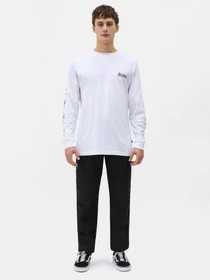 Брюки Dickies Millerville модель DK0A4XDUBLK1 Фото