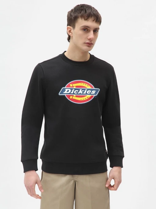 Худі та світшоти Dickies  Icon Logo модель DK0A4XCIBLK1 Фото