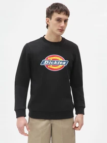 Худи и свитшоты Dickies  Icon Logo модель DK0A4XCIBLK1 Фото