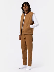 Брюки Dickies DC Carpenter модель DK0A4XIFC411 Фото
