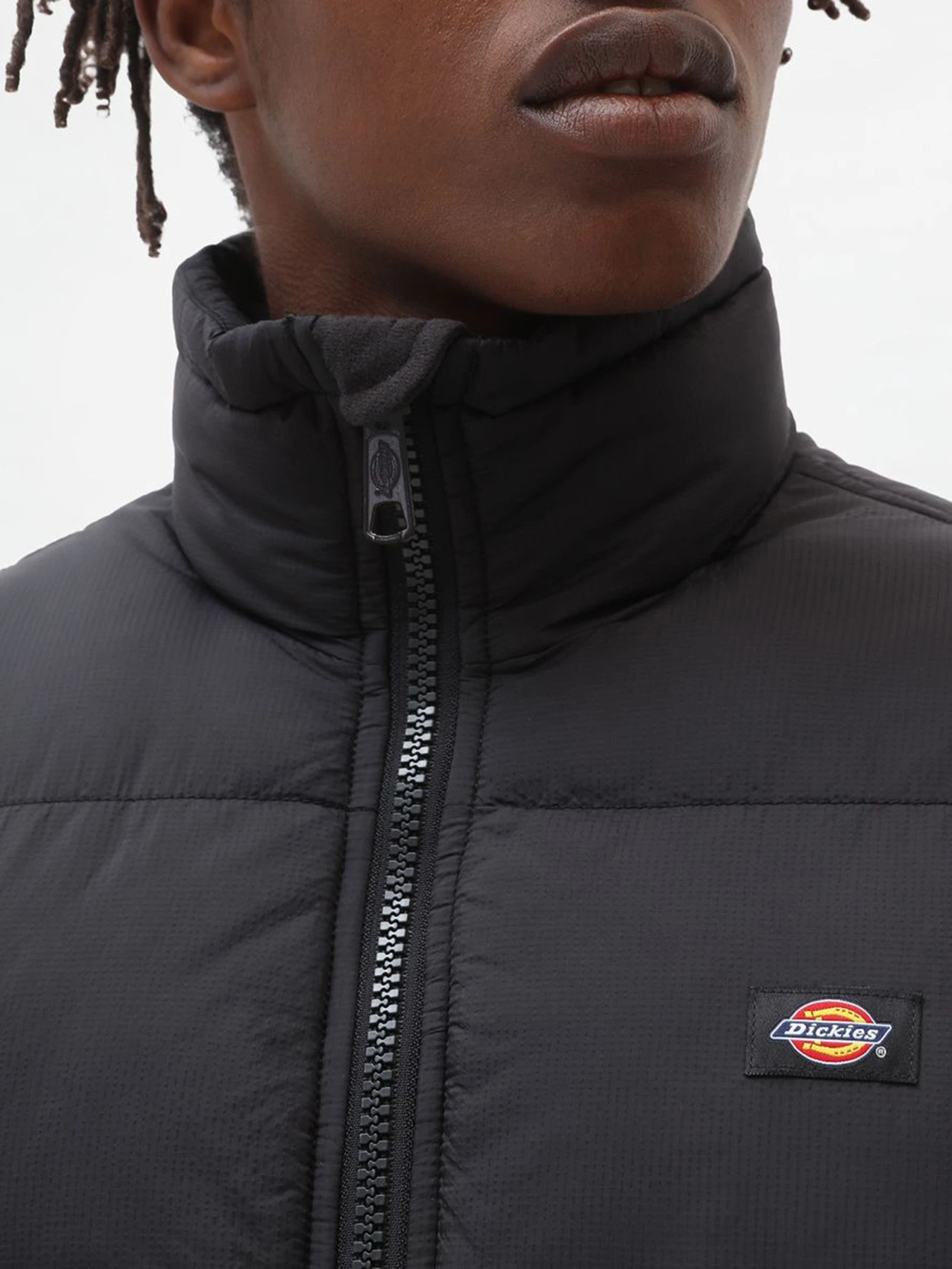 Куртки та дублянки Dickies Waldenburg модель DK0A4XP2BLK1 Фото
