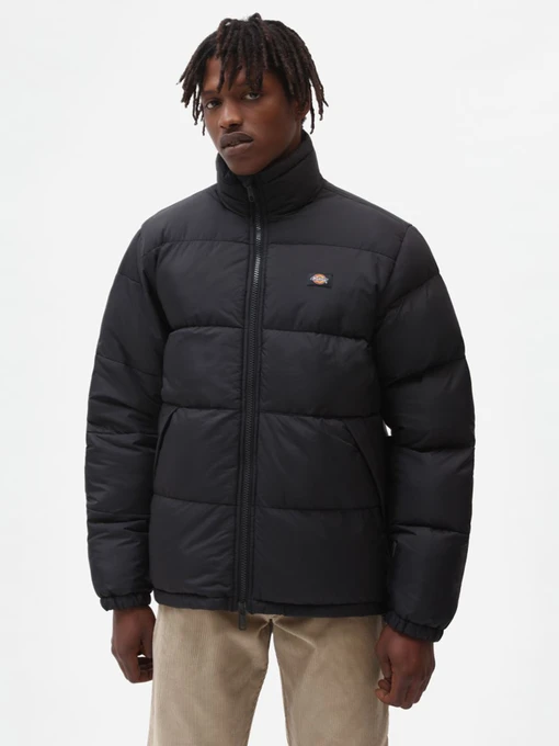 Куртки и дубленки Dickies Waldenburg модель DK0A4XP2BLK1 Фото
