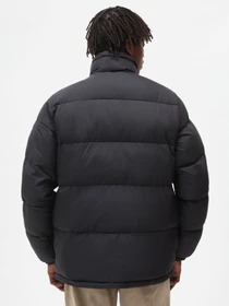 Куртки та дублянки Dickies Waldenburg модель DK0A4XP2BLK1 Фото