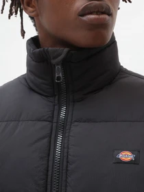 Куртки та дублянки Dickies Waldenburg модель DK0A4XP2BLK1 Фото