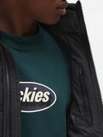 Куртки та дублянки Dickies Waldenburg модель DK0A4XP2BLK1 Фото