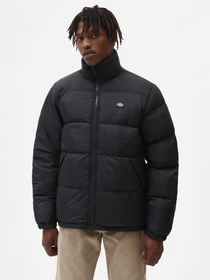 Куртки и дубленки Dickies Waldenburg модель DK0A4XP2BLK1 Фото