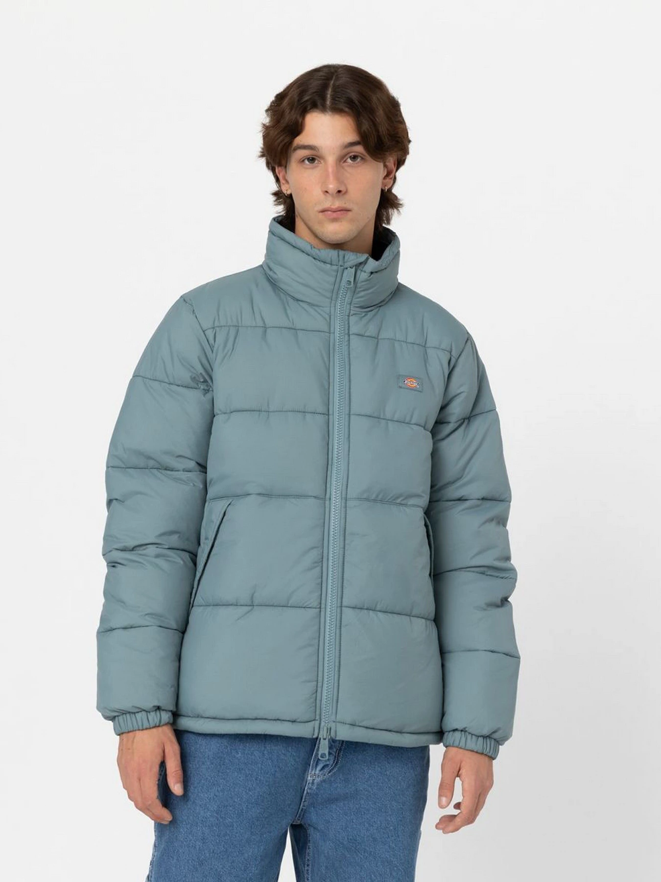 Куртки и дубленки Dickies WALDENBURG модель DK0A4XP2G071 Куртки и дубленки Dickies WALDENBURG модель DK0A4XP2G071 Фото