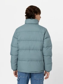 Куртки и дубленки Dickies WALDENBURG модель DK0A4XP2G071 Фото