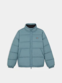 Куртки и дубленки Dickies WALDENBURG модель DK0A4XP2G071 Фото
