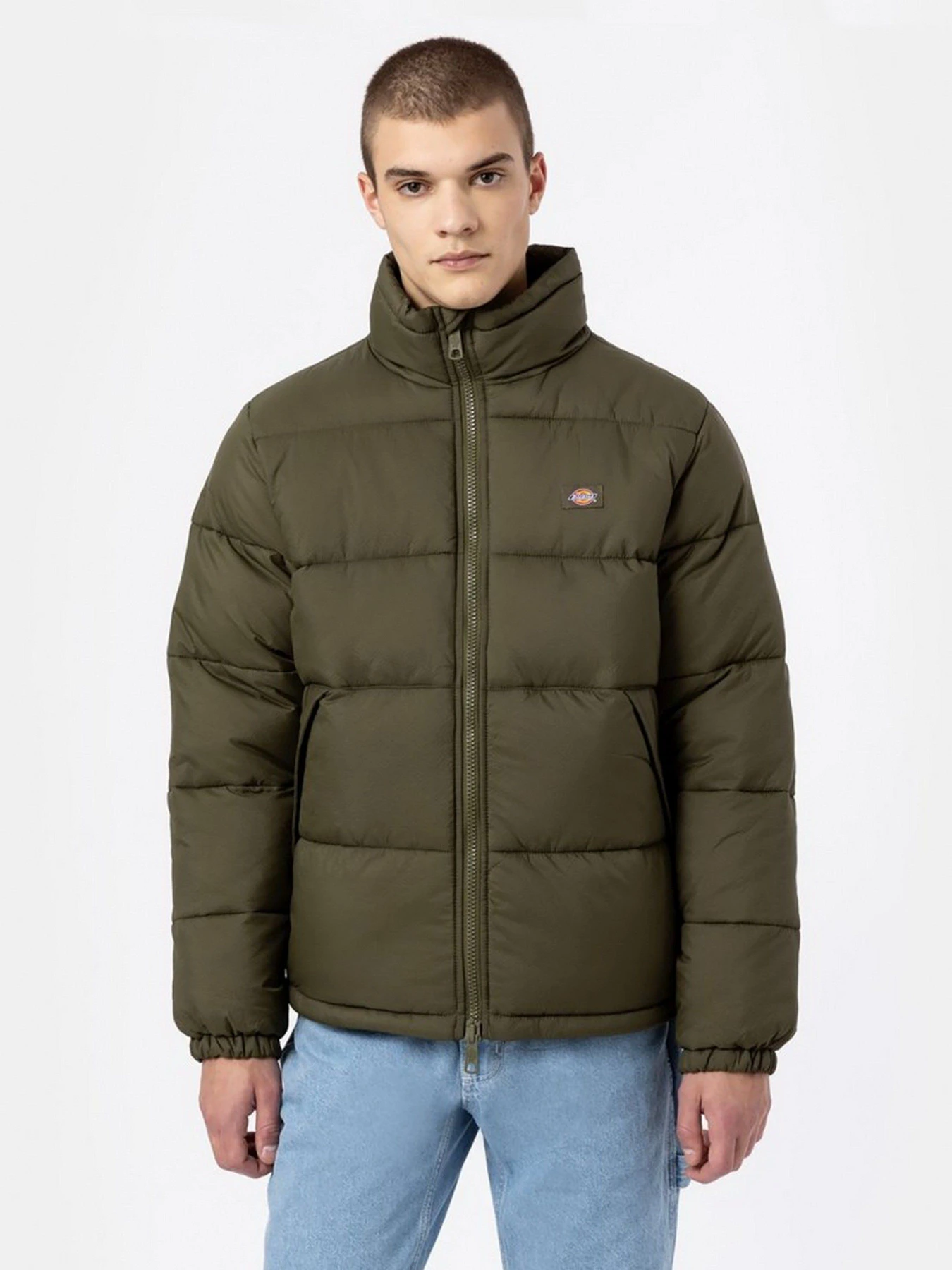 Куртки и дубленки Dickies WALDENBURG модель DK0A4XP2MGR1 Куртки и дубленки Dickies WALDENBURG модель DK0A4XP2MGR1 Фото