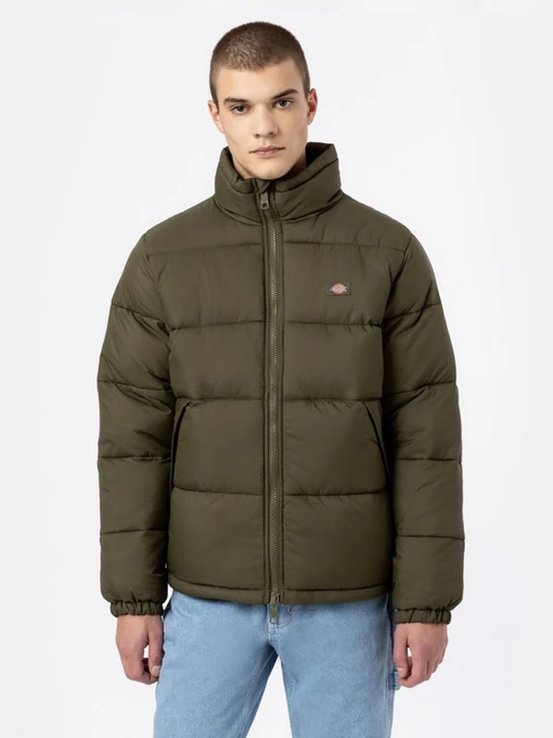 Куртки и дубленки Dickies WALDENBURG модель DK0A4XP2MGR1 Фото