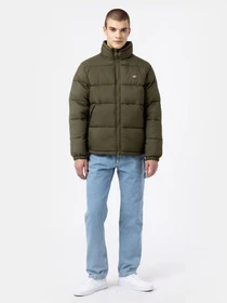 Куртки и дубленки Dickies WALDENBURG модель DK0A4XP2MGR1 Фото
