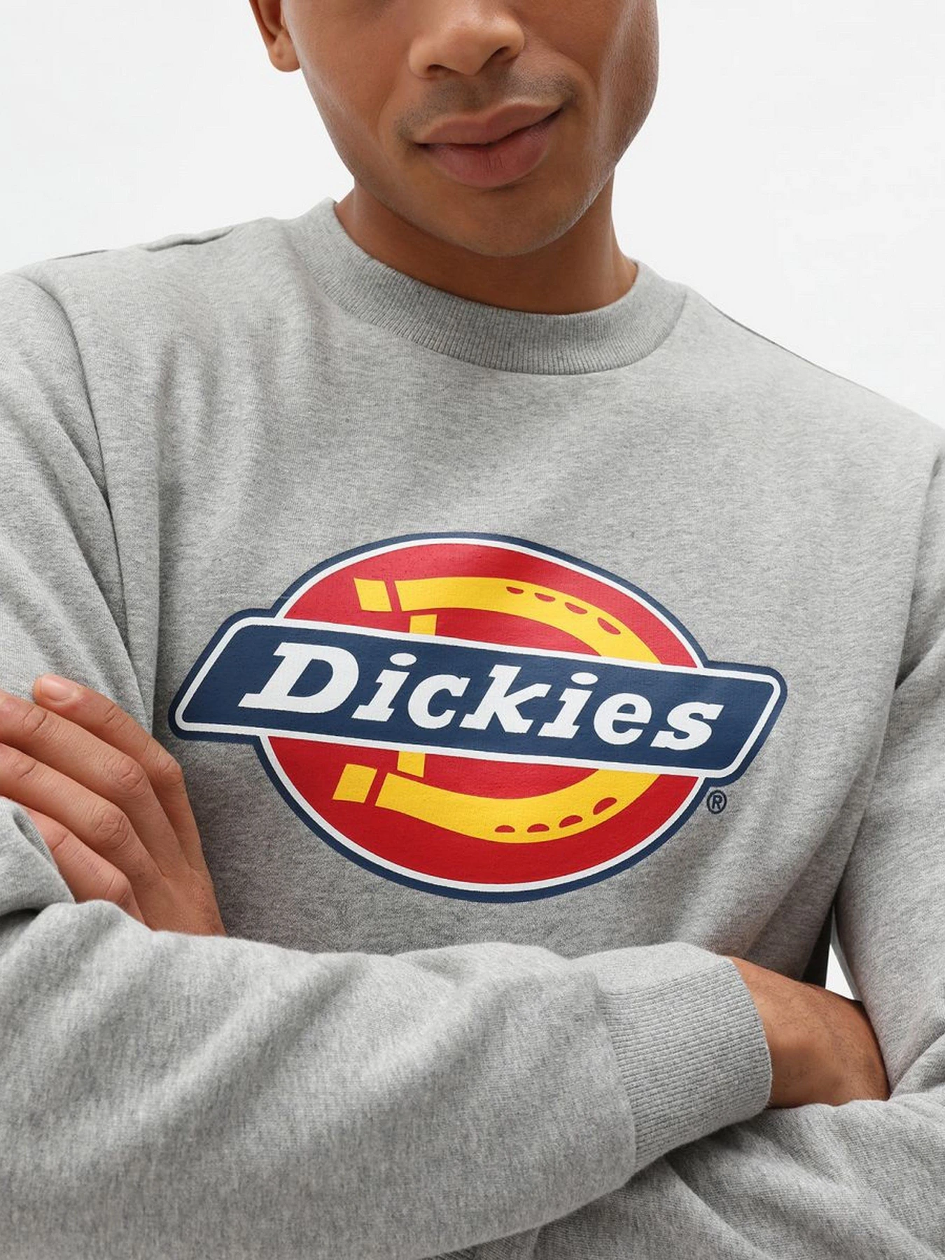 Худі та світшоти Dickies Icon Logo модель DK0A4XCIGYM1 Худі та світшоти Dickies Icon Logo модель DK0A4XCIGYM1 Фото