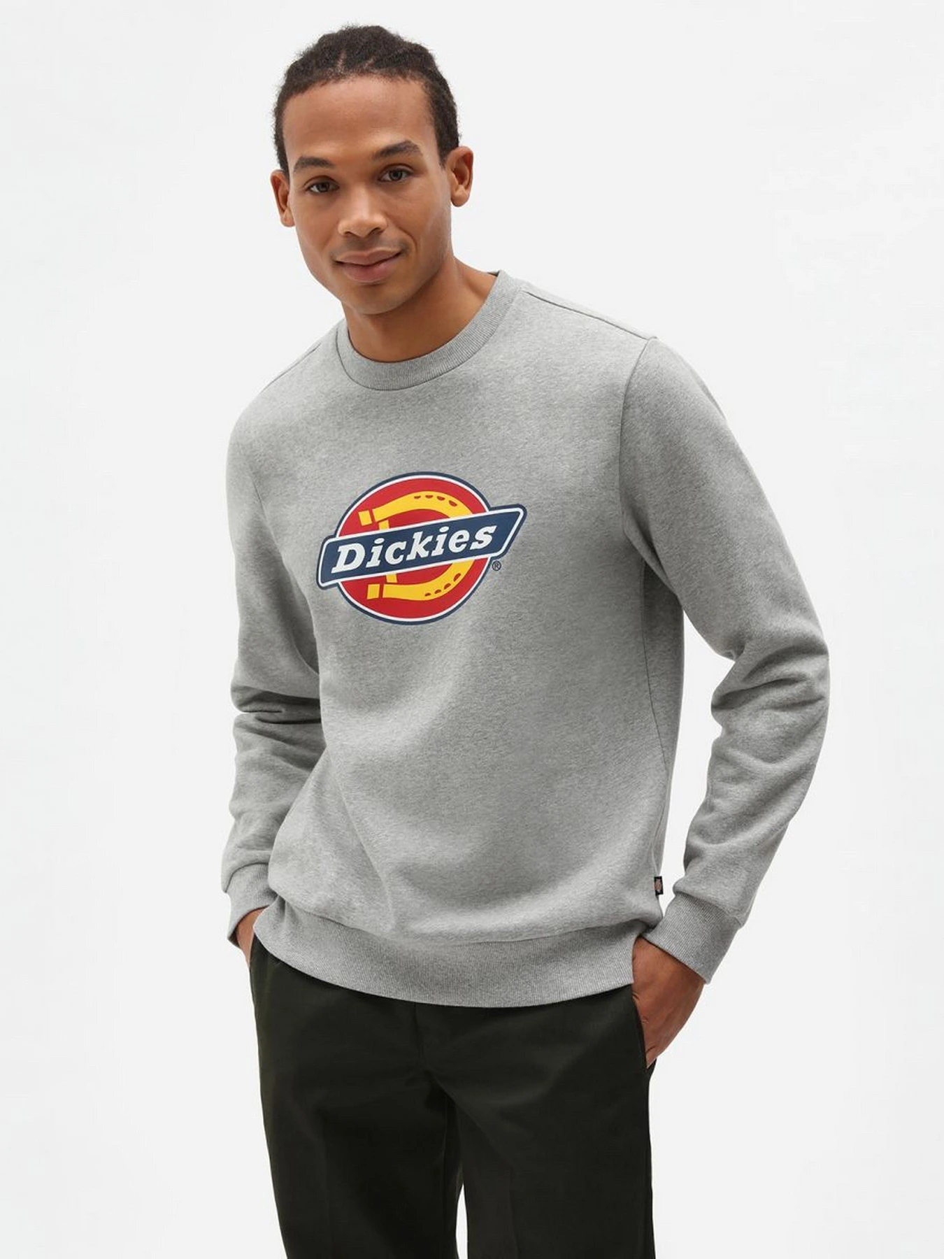 Худі та світшоти Dickies Icon Logo модель DK0A4XCIGYM1 Худі та світшоти Dickies Icon Logo модель DK0A4XCIGYM1 Фото