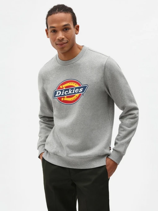 Худи и свитшоты Dickies  Icon Logo модель DK0A4XCIGYM1 Фото