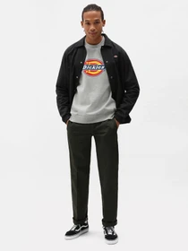 Худі та світшоти Dickies Icon Logo модель DK0A4XCIGYM1 Фото