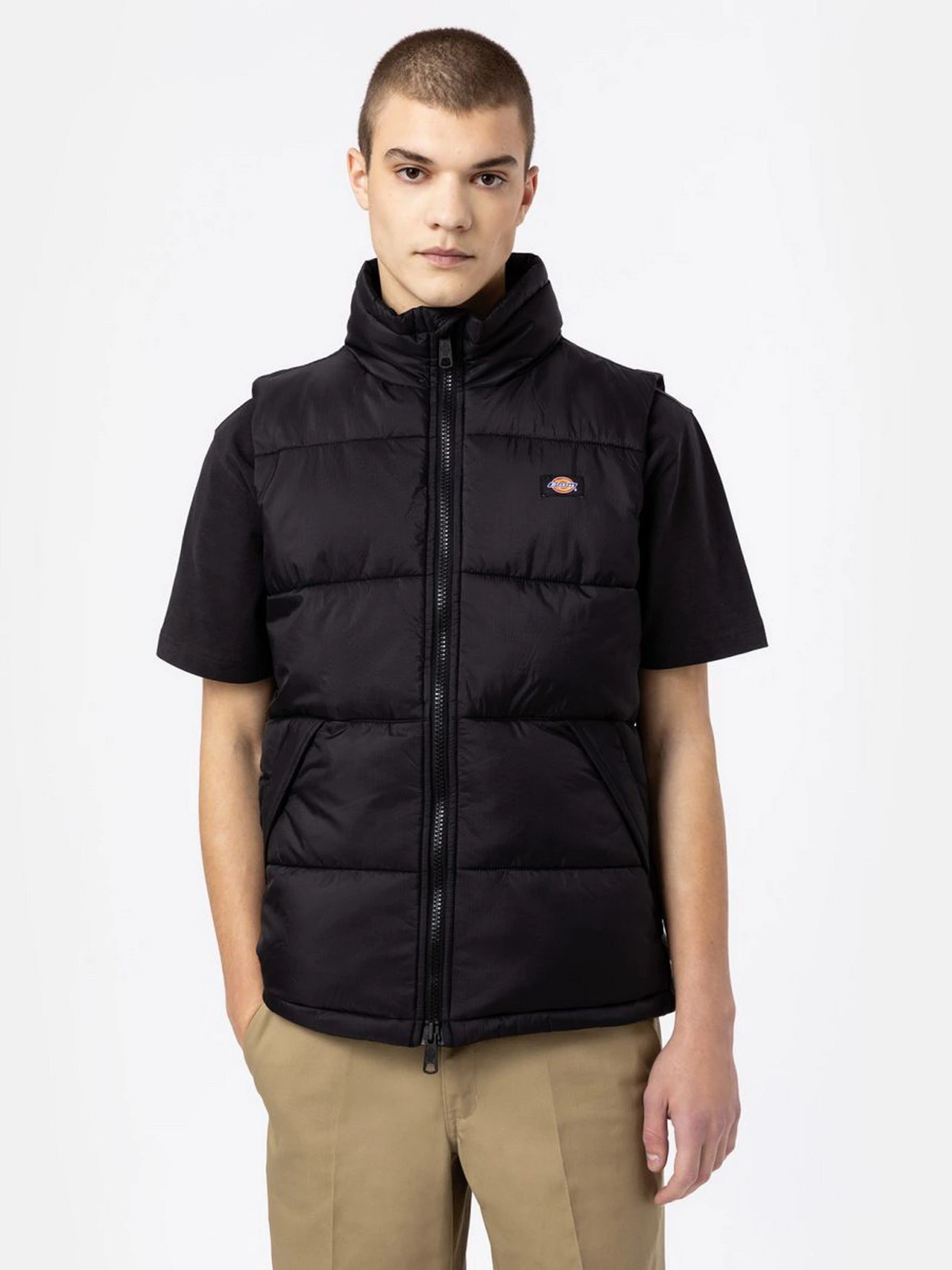 Куртки и дубленки Dickies Waldenburg модель DK0A4Y2KBLK1 Фото