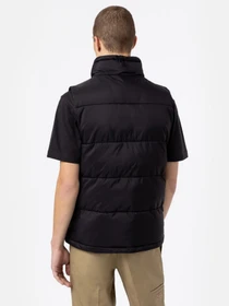 Куртки и дубленки Dickies Waldenburg модель DK0A4Y2KBLK1 Фото