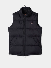 Куртки и дубленки Dickies Waldenburg модель DK0A4Y2KBLK1 Фото