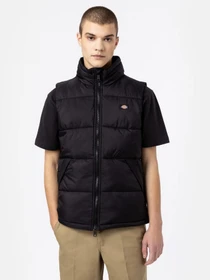 Куртки и дубленки Dickies Waldenburg модель DK0A4Y2KBLK1 Фото