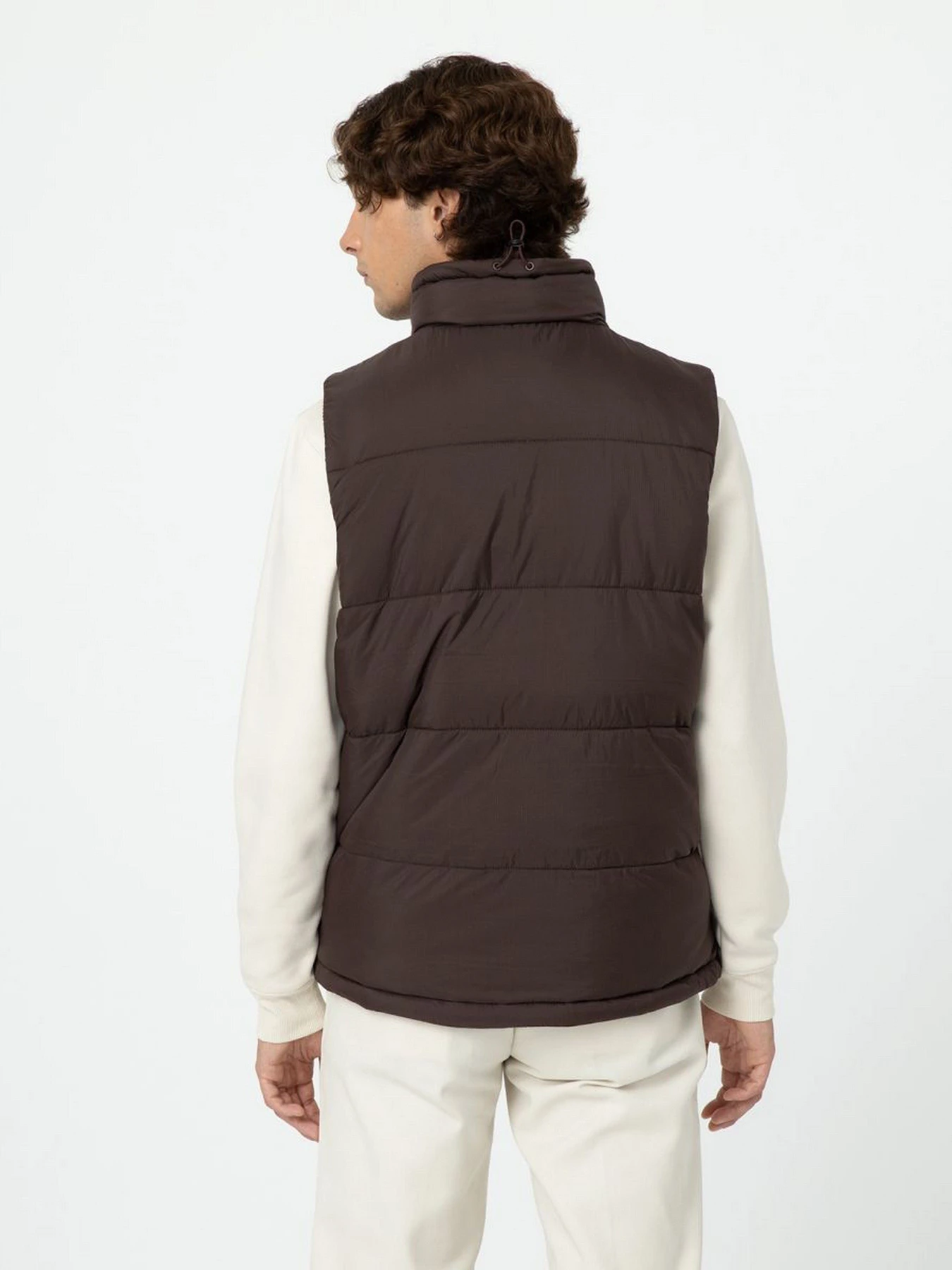 Куртки и дубленки Dickies Waldenburg модель DK0A4Y2KD711 Фото