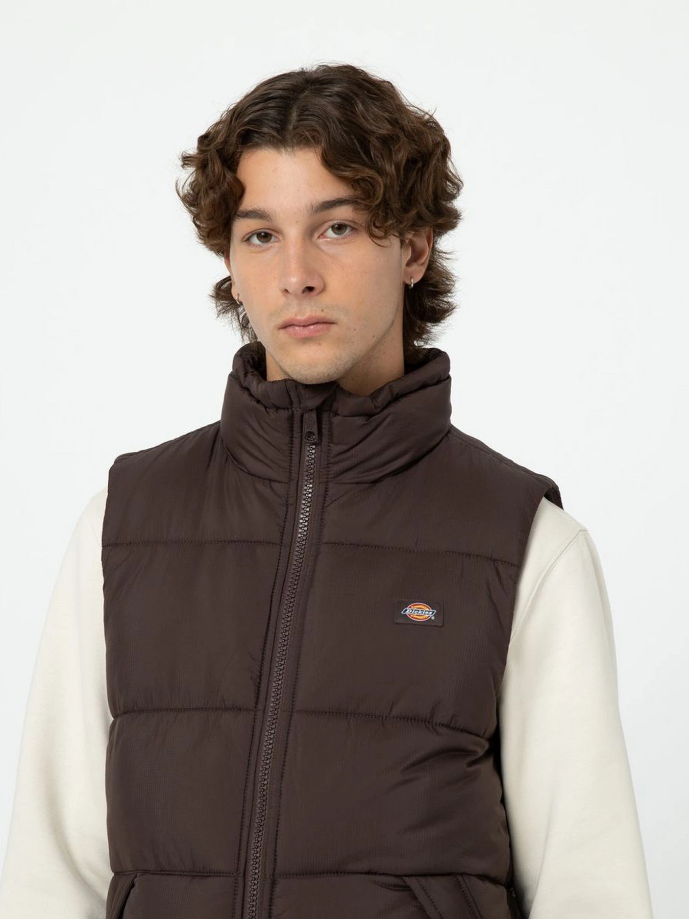 Куртки и дубленки Dickies Waldenburg модель DK0A4Y2KD711 Фото