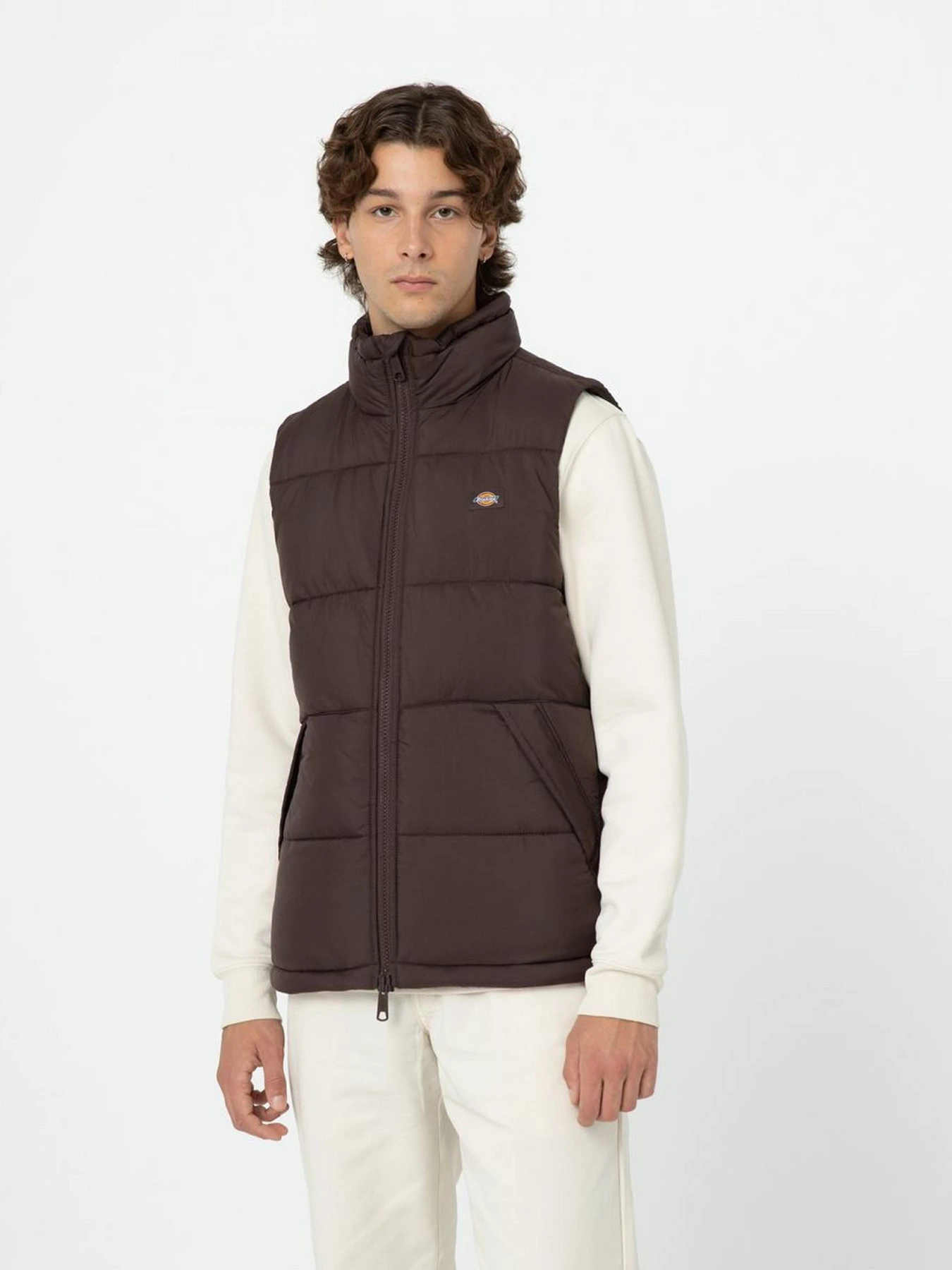 Куртки и дубленки Dickies Waldenburg модель DK0A4Y2KD711 Фото