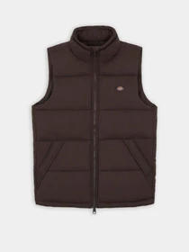 Куртки и дубленки Dickies Waldenburg модель DK0A4Y2KD711 Фото