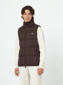 Куртки и дубленки Dickies Waldenburg модель DK0A4Y2KD711 Фото