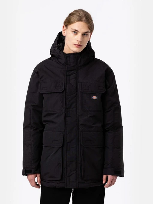 Куртки и дубленки Dickies GLACIER модель DK0A4Y3VBLK1 Фото