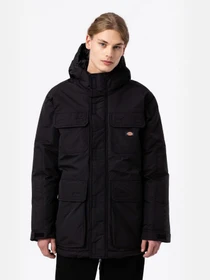 Куртки и дубленки Dickies GLACIER модель DK0A4Y3VBLK1 Фото
