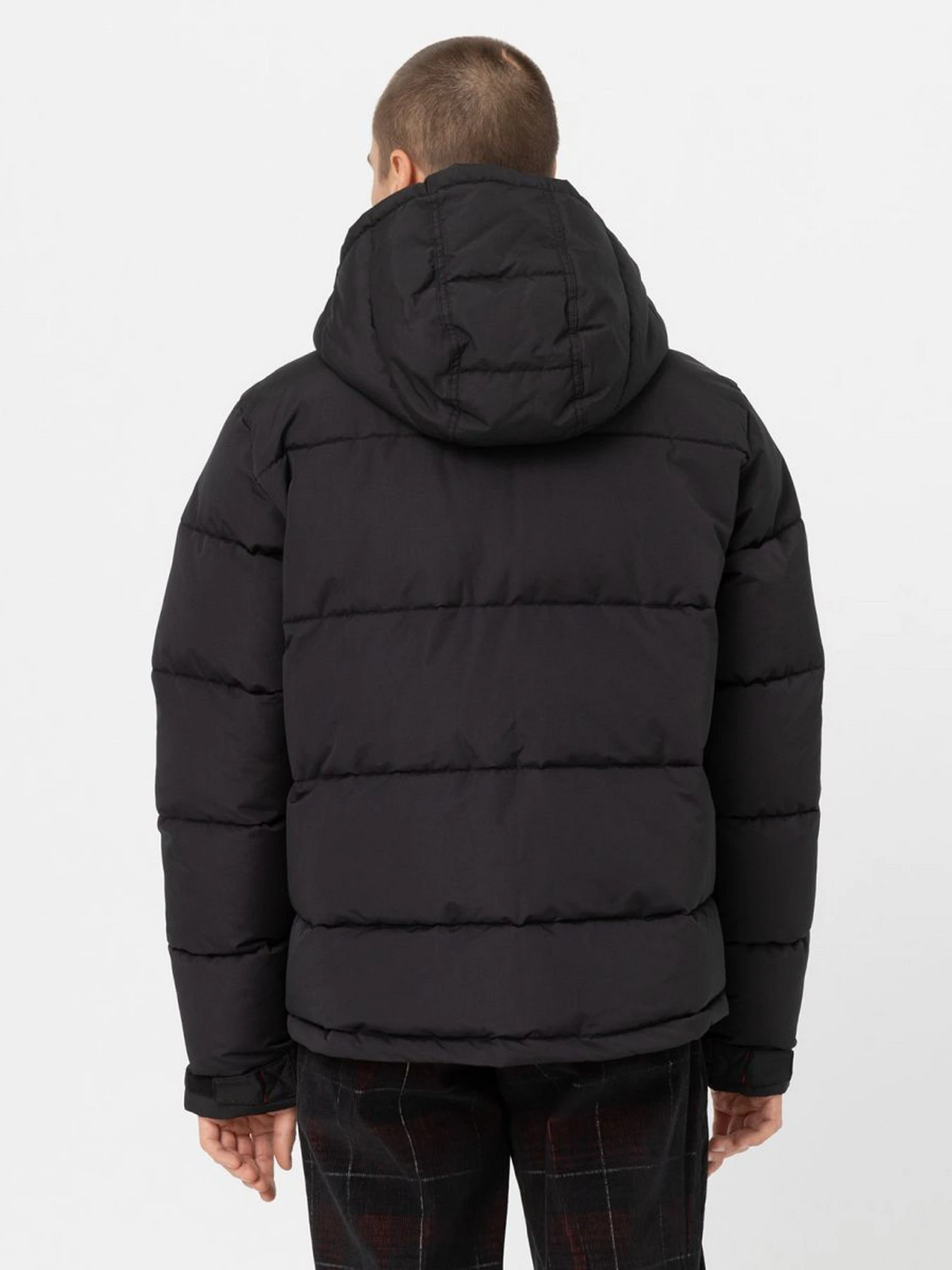 Куртки и дубленки Dickies Glacier модель DK0A4Y3WBLK1 Куртки и дубленки Dickies Glacier модель DK0A4Y3WBLK1 Фото