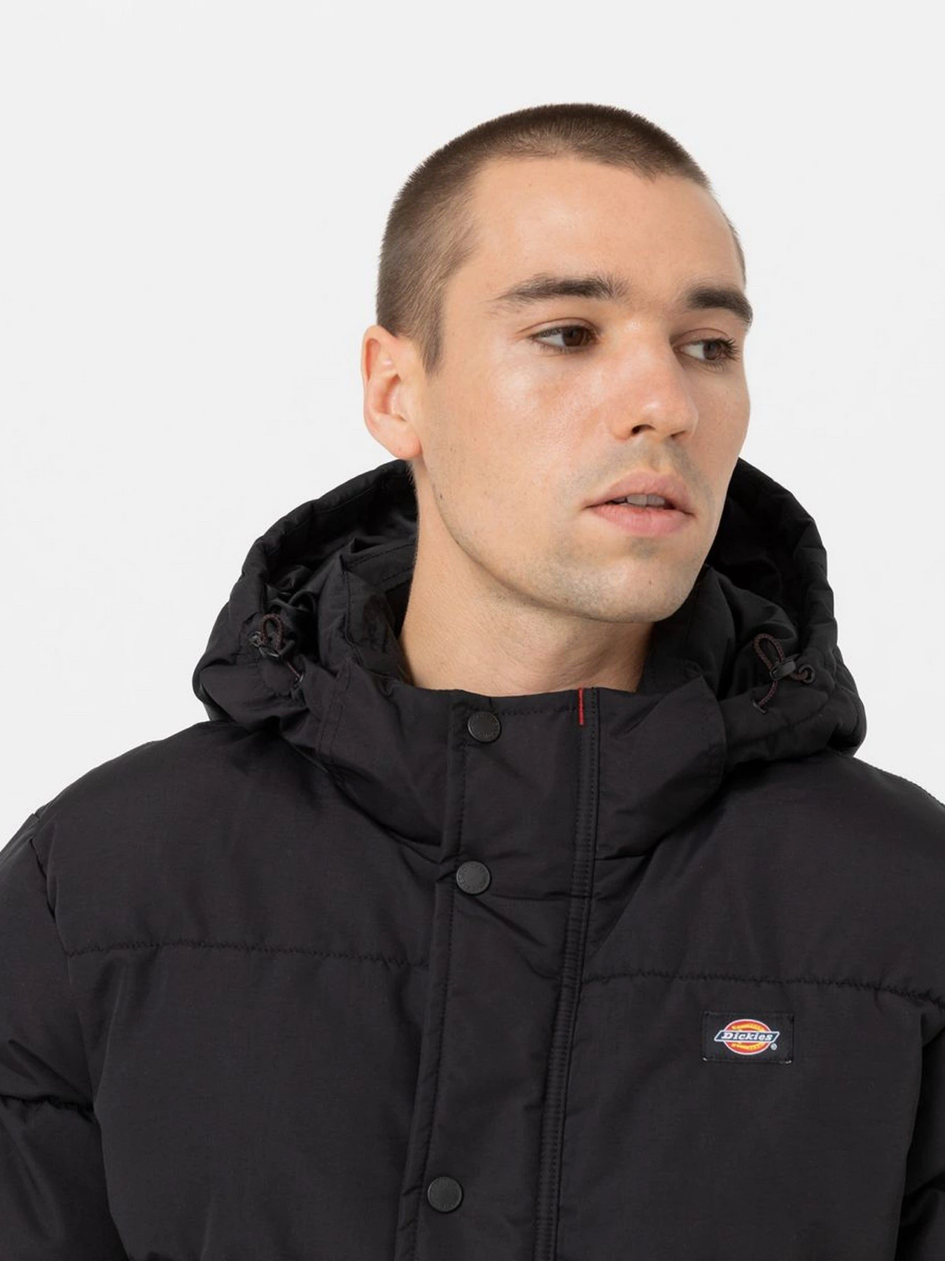 Куртки и дубленки Dickies Glacier модель DK0A4Y3WBLK1 Куртки и дубленки Dickies Glacier модель DK0A4Y3WBLK1 Фото