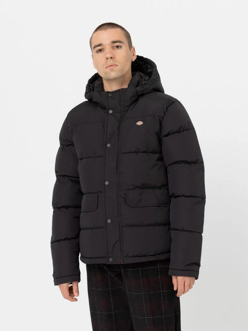 Куртки и дубленки Dickies Glacier модель DK0A4Y3WBLK1 Фото