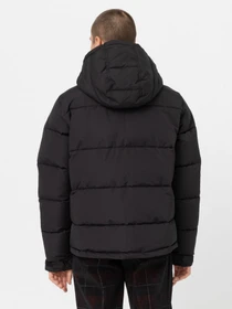 Куртки и дубленки Dickies Glacier модель DK0A4Y3WBLK1 Фото