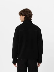 Худи и свитшоты Dickies Mount Hope модель DK0A4YEEBLK1 Фото