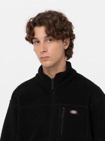 Худи и свитшоты Dickies Mount Hope модель DK0A4YEEBLK1 Фото
