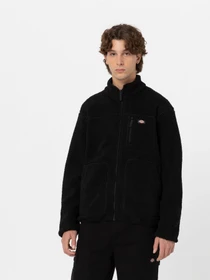Худи и свитшоты Dickies Mount Hope модель DK0A4YEEBLK1 Фото