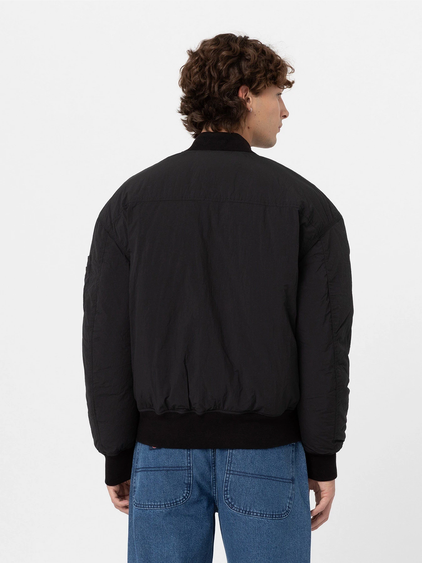 Куртки и дубленки Dickies Overbrook модель DK0A4YEQBLK1 Куртки и дубленки Dickies Overbrook модель DK0A4YEQBLK1 Фото