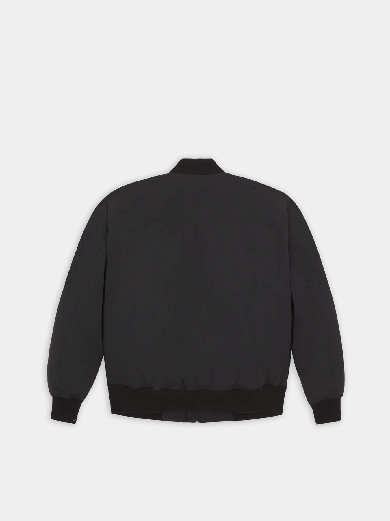 Куртки и дубленки Dickies Overbrook модель DK0A4YEQBLK1 Куртки и дубленки Dickies Overbrook модель DK0A4YEQBLK1 Фото