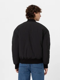 Куртки и дубленки Dickies Overbrook модель DK0A4YEQBLK1 Фото