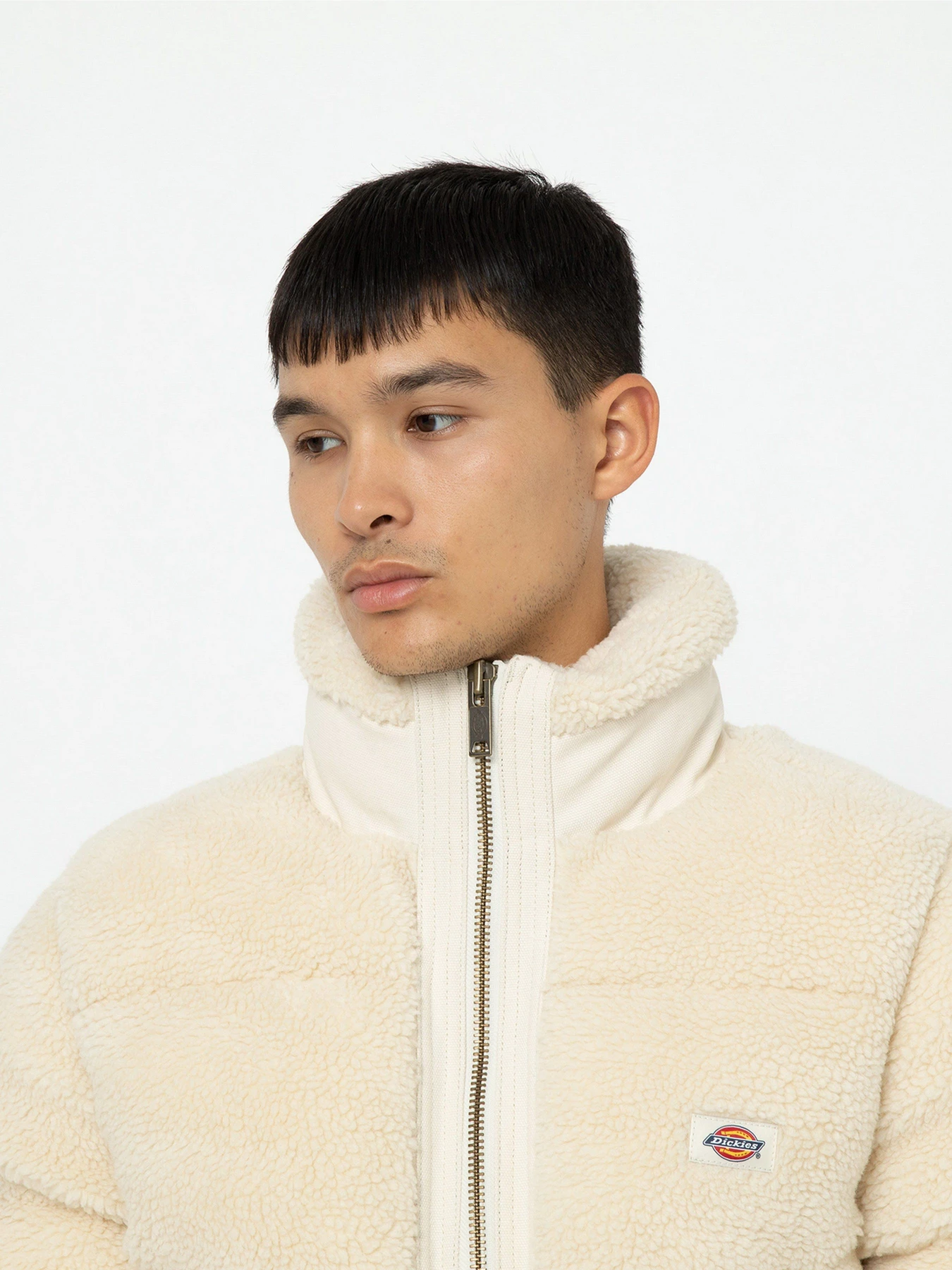 Куртки и дубленки Dickies Mount Hope Sherpa модель DK0A4YEVF901 Куртки и дубленки Dickies Mount Hope Sherpa модель DK0A4YEVF901 Фото