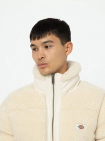 Куртки и дубленки Dickies Mount Hope Sherpa модель DK0A4YEVF901 Фото