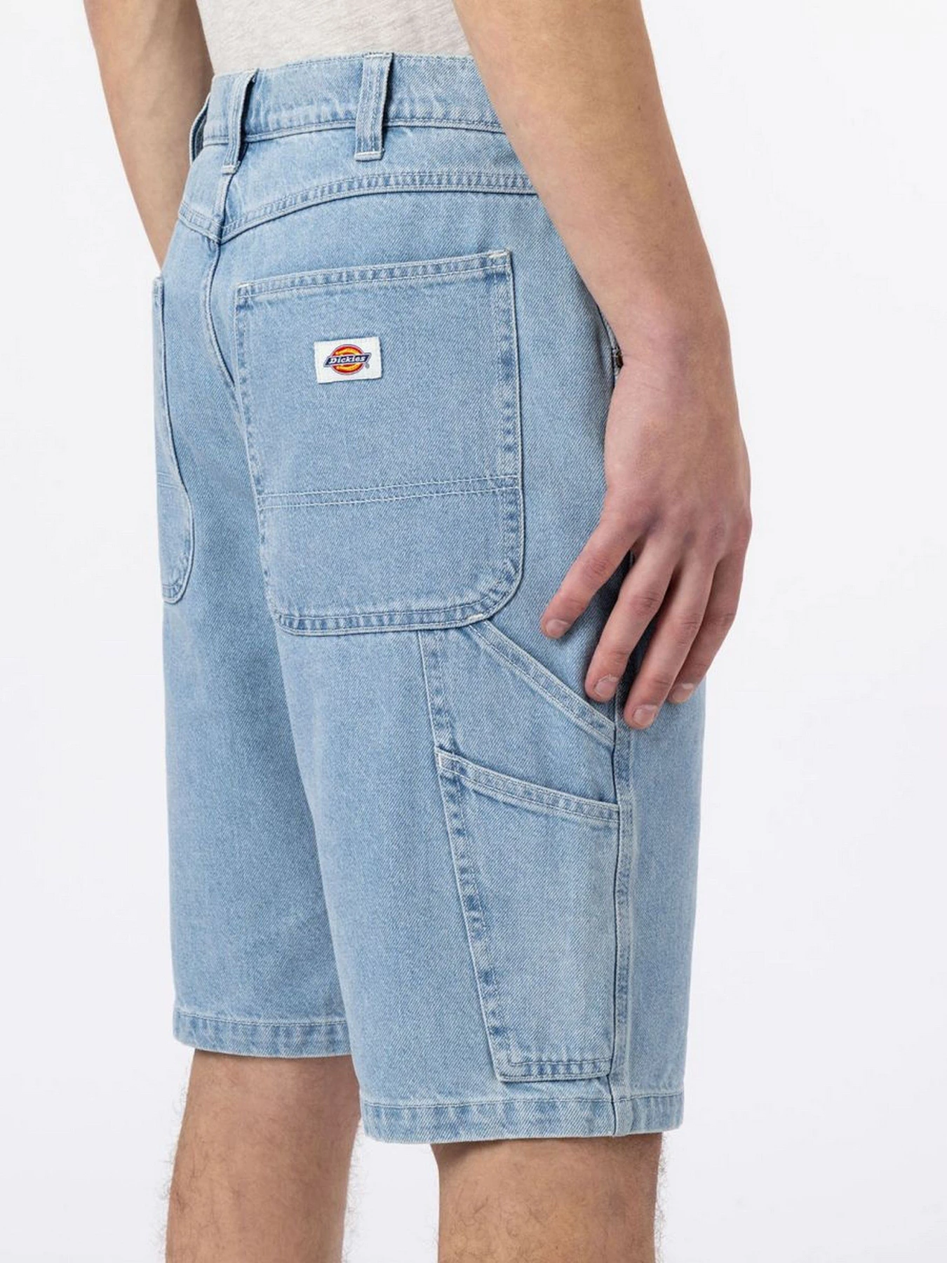 Шорти Dickies Garyville модель DK0A4XCKC151 Фото