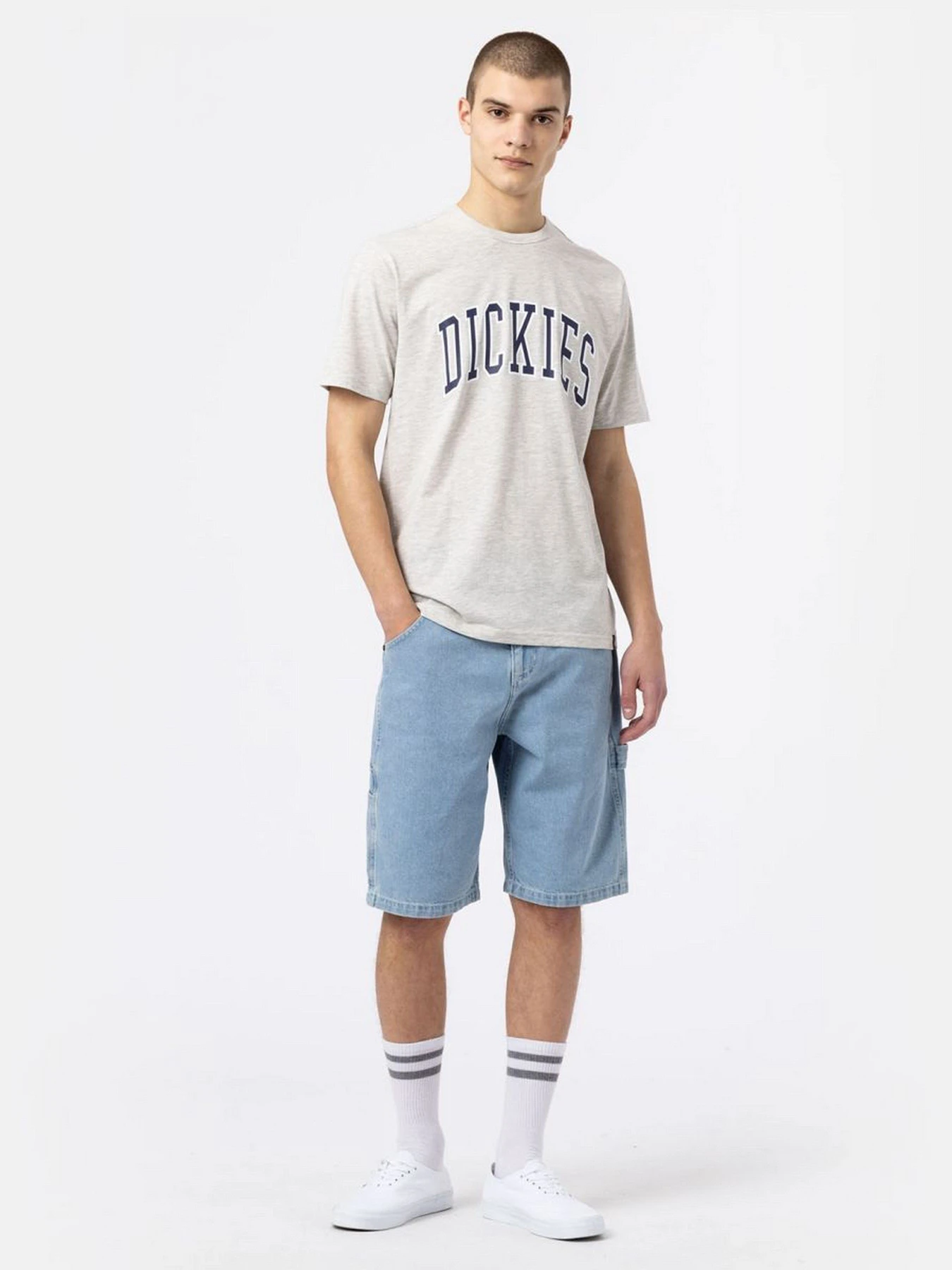 Шорти Dickies Garyville модель DK0A4XCKC151 Фото