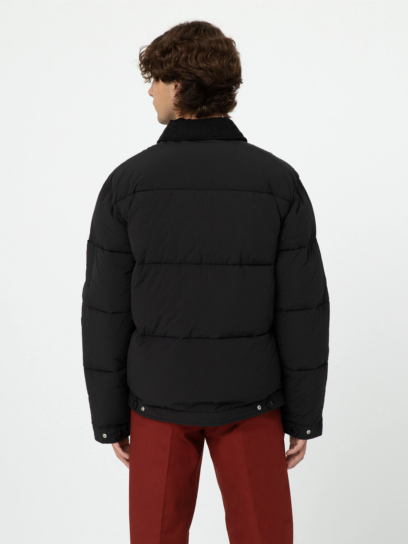 Куртки та дублянки Dickies Overbrook Eisenhower модель DK0A4YEXBLK1 Куртки та дублянки Dickies Overbrook Eisenhower модель DK0A4YEXBLK1 Фото