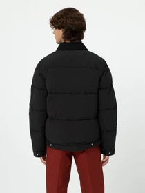 Куртки та дублянки Dickies Overbrook Eisenhower модель DK0A4YEXBLK1 Фото