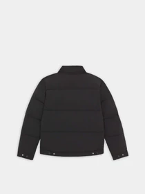 Куртки та дублянки Dickies Overbrook Eisenhower модель DK0A4YEXBLK1 Фото