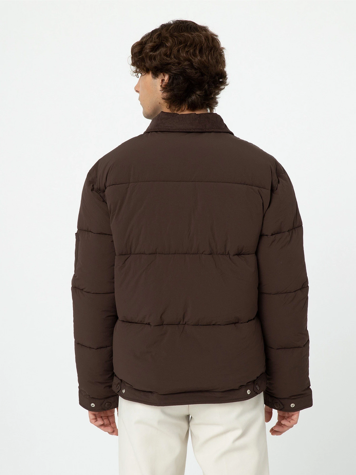 Куртки та дублянки Dickies Overbrook Eisenhower модель DK0A4YEXD711 Куртки та дублянки Dickies Overbrook Eisenhower модель DK0A4YEXD711 Фото